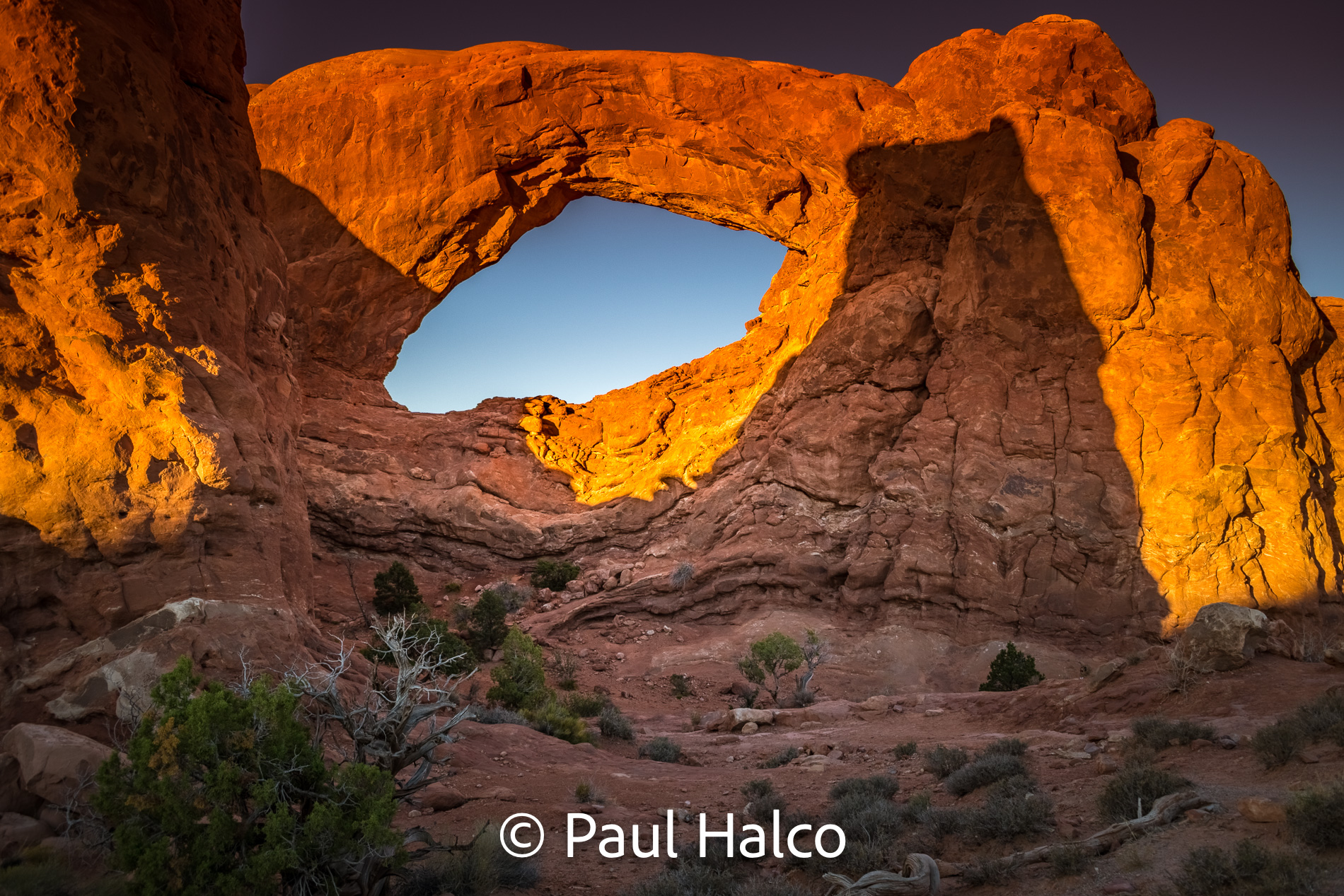 Paul Halco - Arches NP-16
